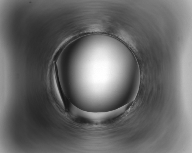 X0000098070108200804110930