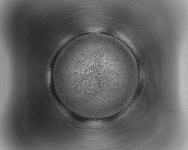 X0000098070110200804110930