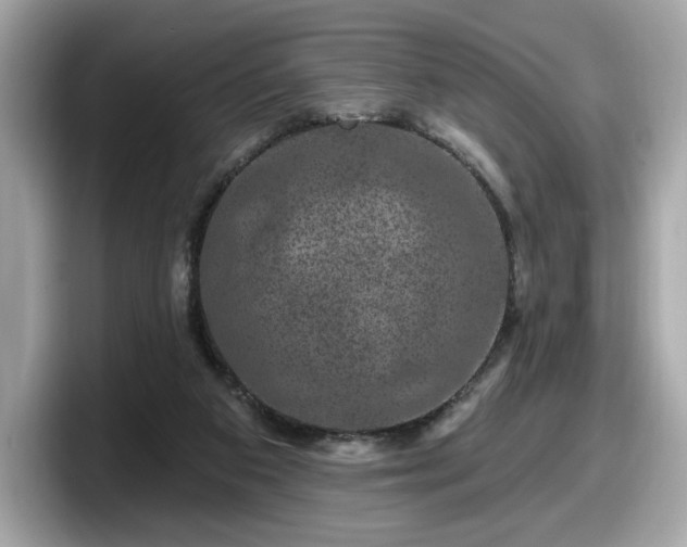 X0000098070113200804110930