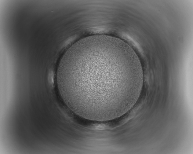 X0000098070115200804110930