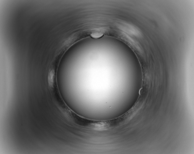 X0000098070118200804110930