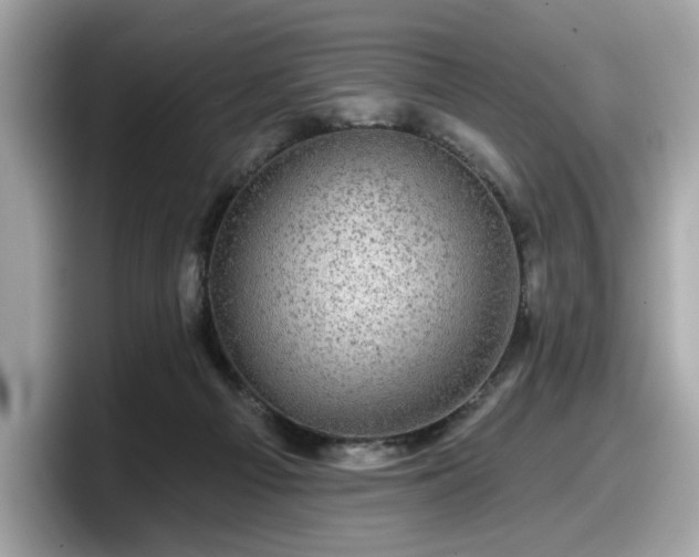 X0000098070121200804110930