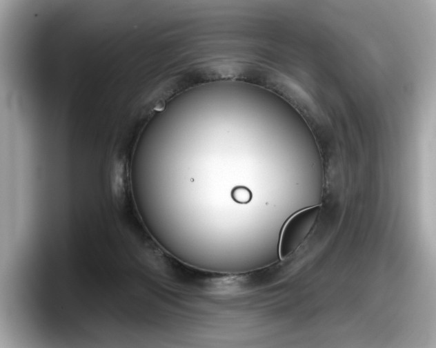 X0000098070122200804110930