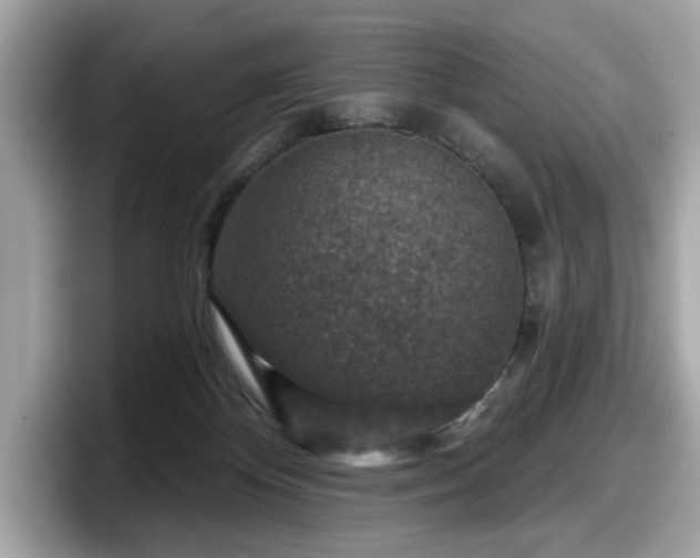 X0000098070124200804110930