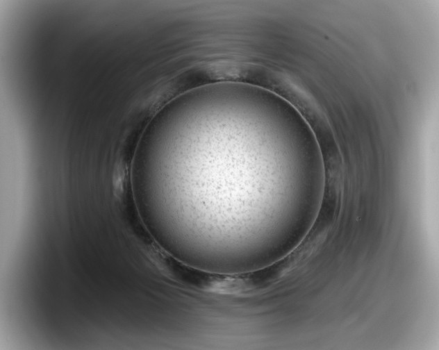 X0000098070125200804110930