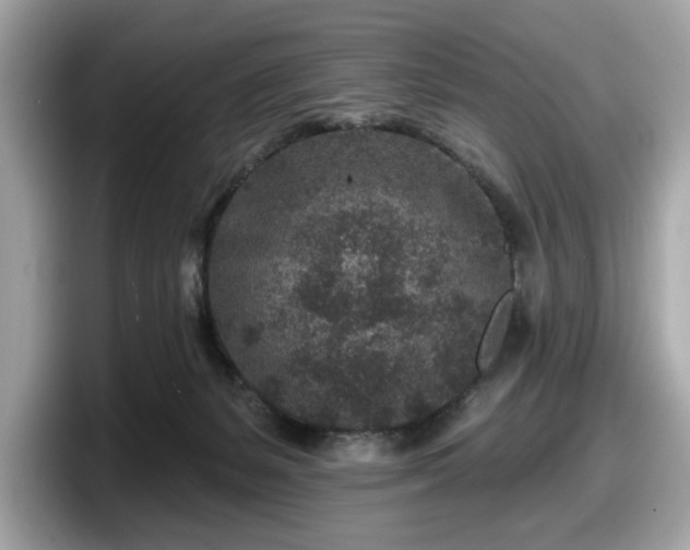 X0000098070127200804110930