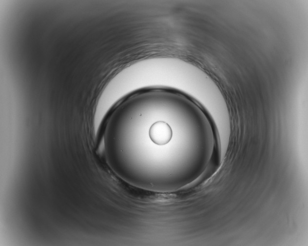 X0000098070128200804110930