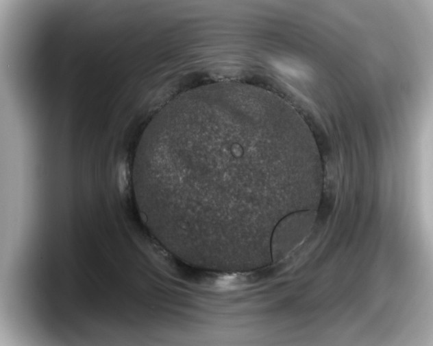 X0000098070130200804110930