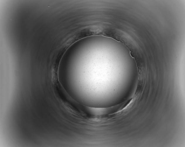 X0000098070136200804110930