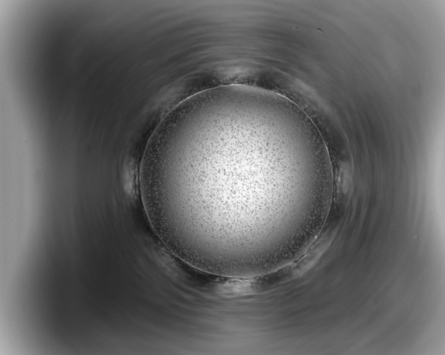 X0000098070138200804110930