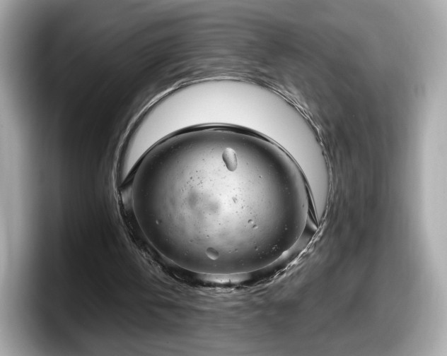 X0000098070146200804110929