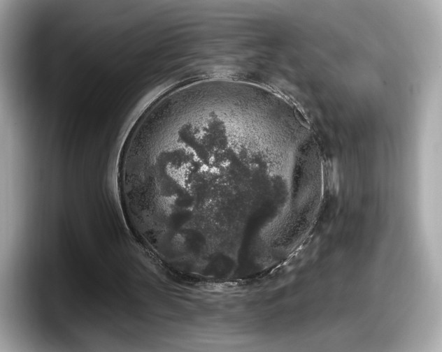 X0000098070147200804110929