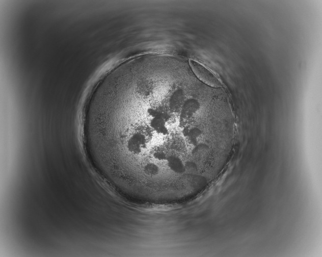 X0000098070149200804110929