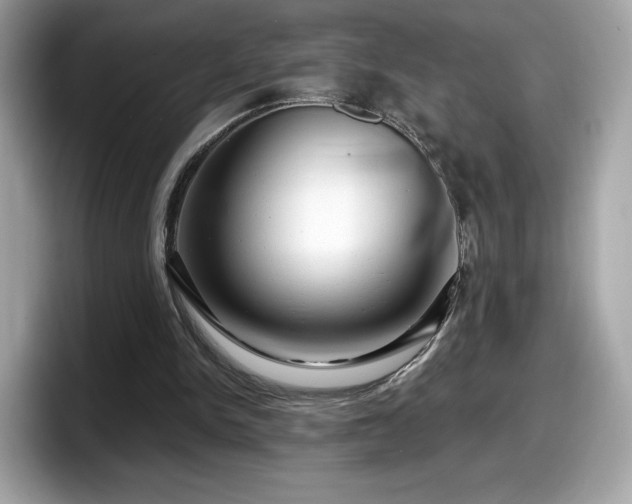 X0000098070150200804110929