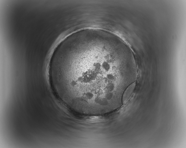 X0000098070151200804110929