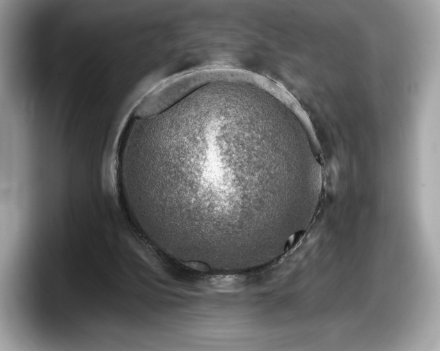 X0000098070152200804110929