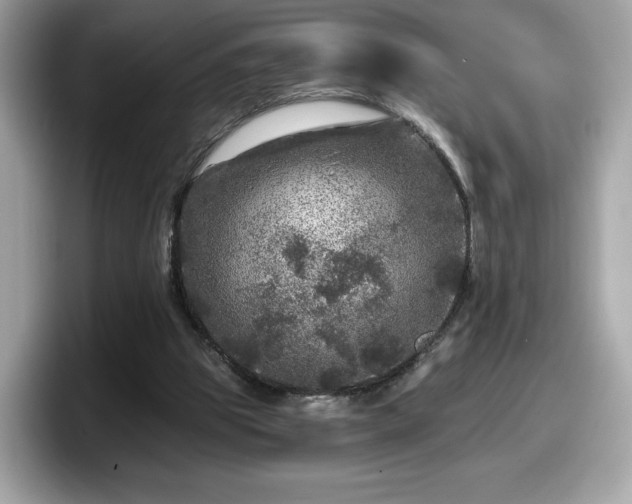 X0000098070153200804110929