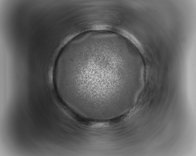 X0000098070155200804110929