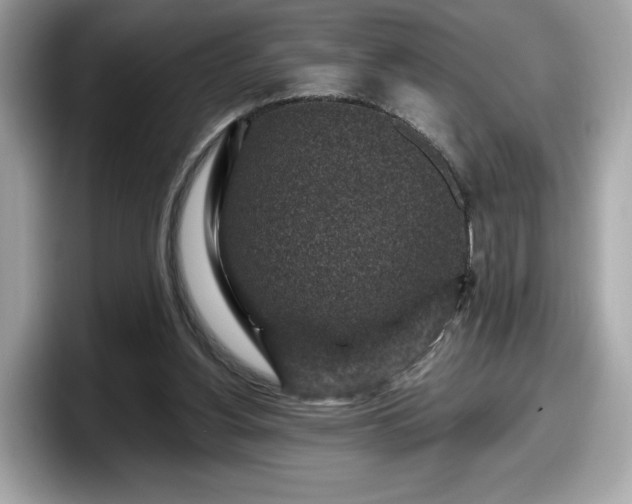 X0000098070156200804110929