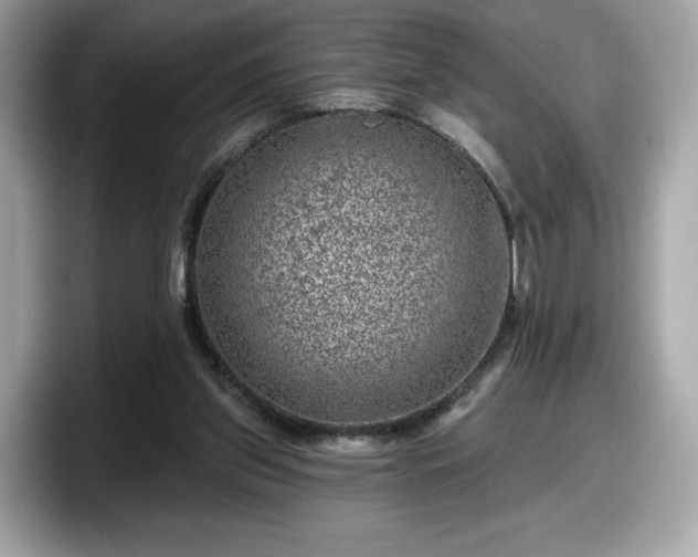 X0000098070157200804110929