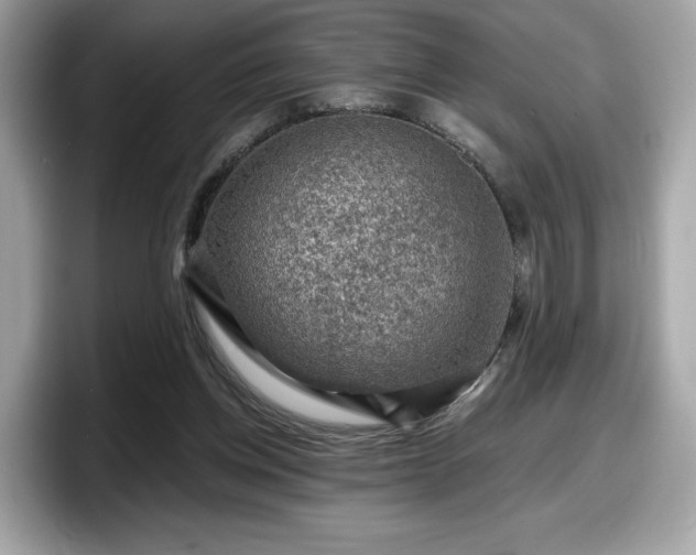 X0000098070158200804110929