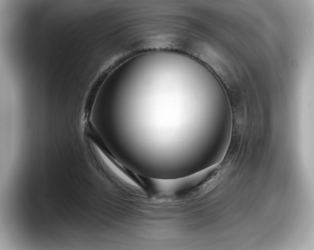 X0000098070160200804110929