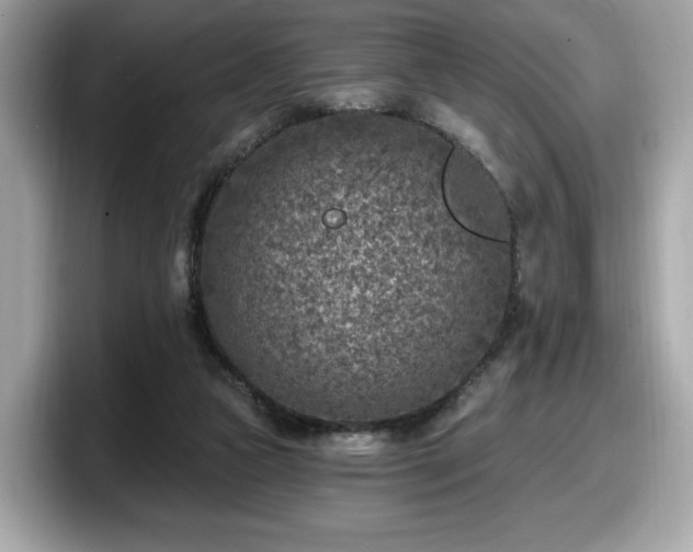 X0000098070161200804110929