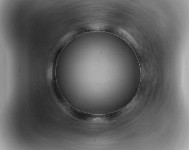 X0000098070163200804110929