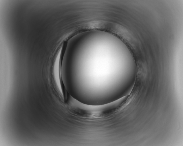 X0000098070164200804110929