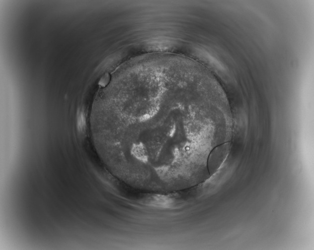 X0000098070166200804110929