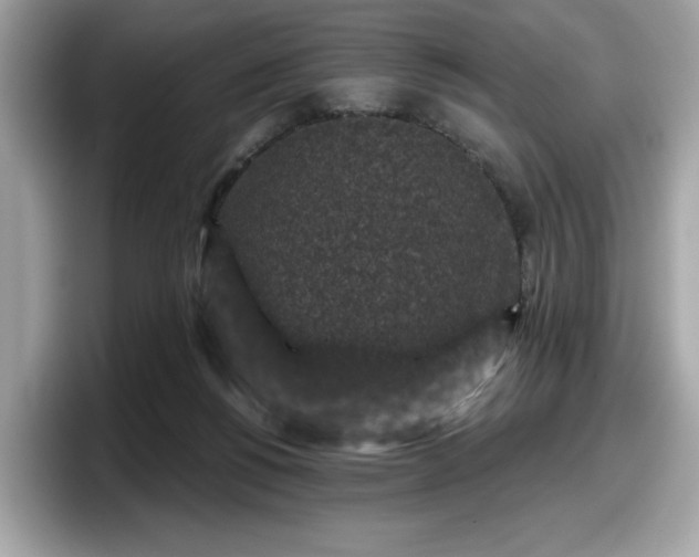 X0000098070168200804110929