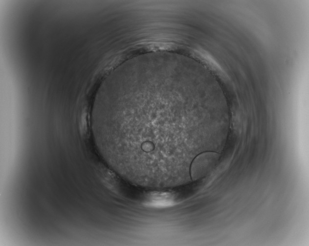 X0000098070169200804110929