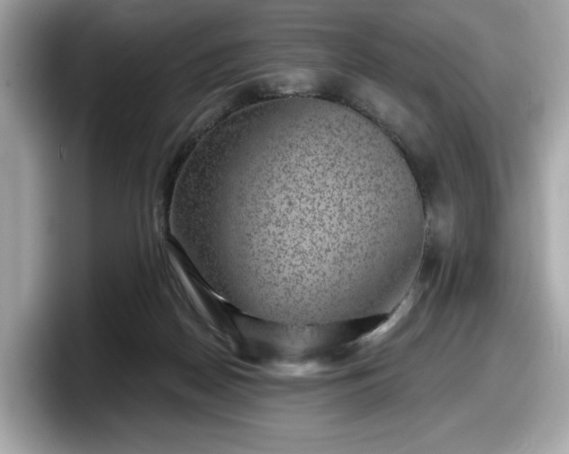 X0000098070170200804110929