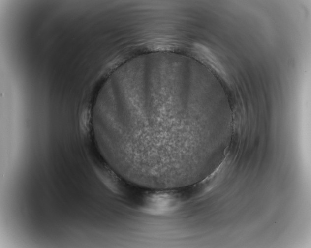 X0000098070171200804110929