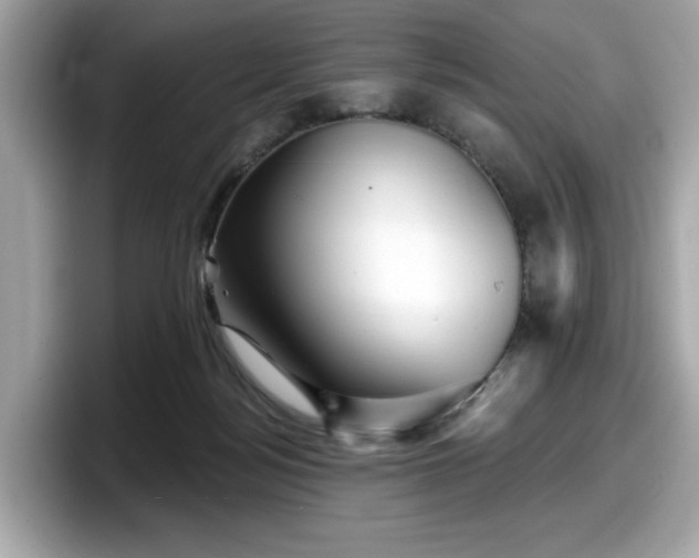 X0000098070172200804110929