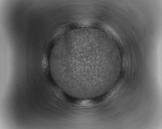 X0000098070173200804110929