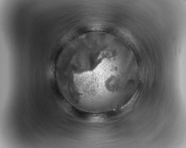 X0000098070175200804110929