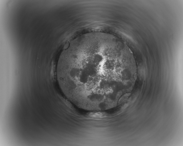 X0000098070181200804110930