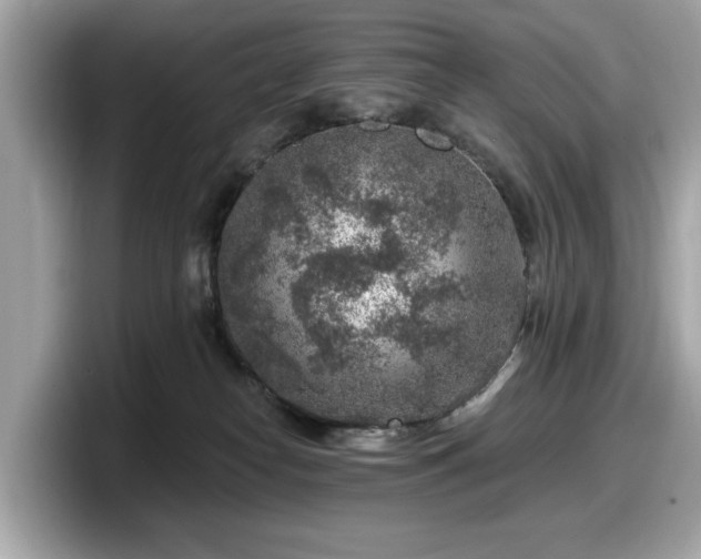 X0000098070182200804110930