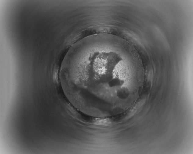 X0000098070185200804110930