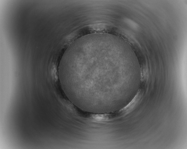 X0000098070187200804110930