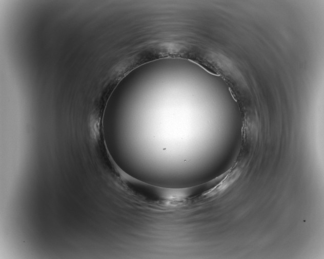 X0000098070188200804110930