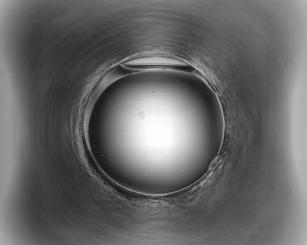 X0000098070193200804110929