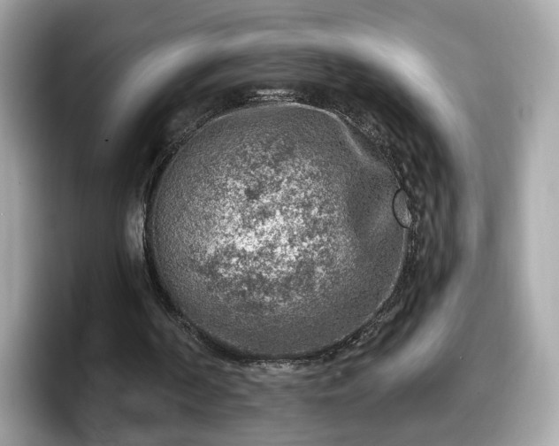 X0000098070194200804110929