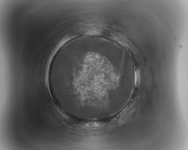 X0000098070195200804110929