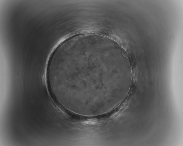 X0000098070196200804110929