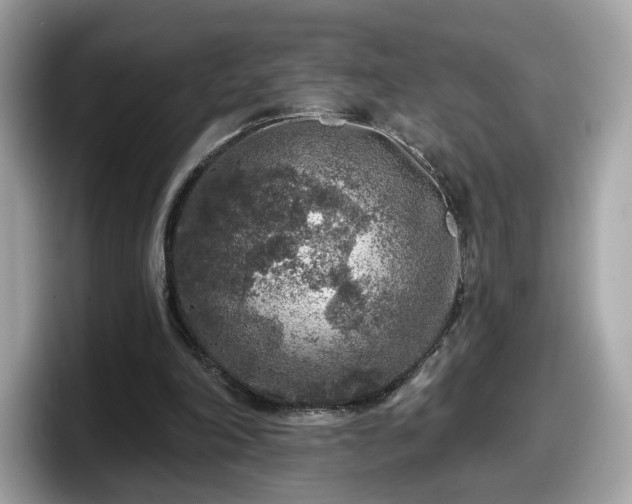 X0000098070198200804110929