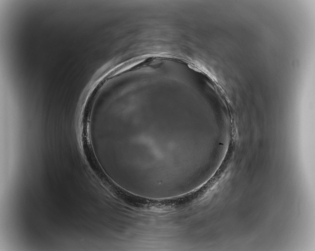 X0000098070199200804110929