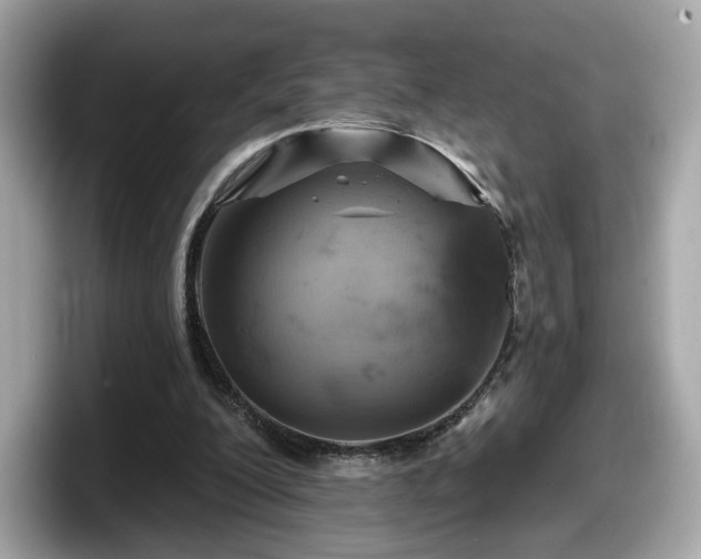 X0000098070200200804110929