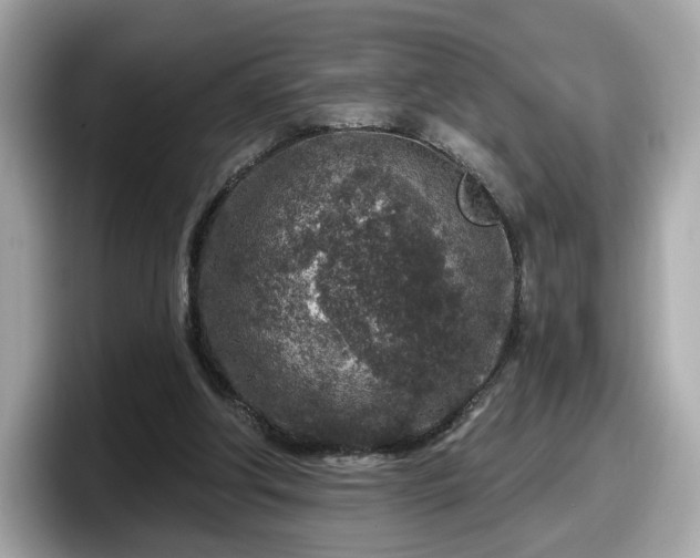 X0000098070202200804110929